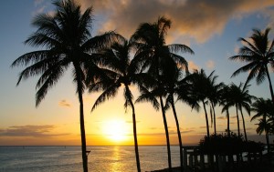Insel mit Palmen und Sonnenuntergang